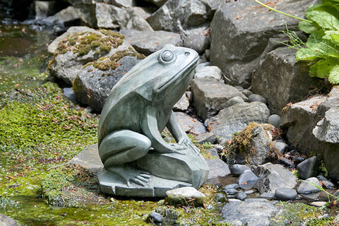 Barry Frog in Western Slate