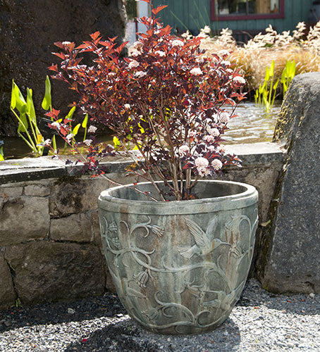 hummingbird planter pot Hummingbird Pot