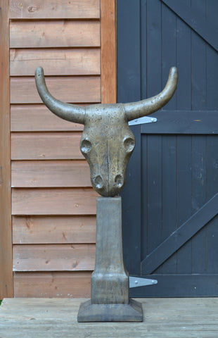 Bull Horns - Large