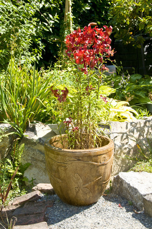 dragonfly plant pot Dragonfly Pot
