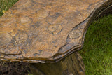 Fossil Bench - Curved in Ancient Stone