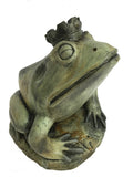 Frog Prince in Western Slate