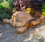 Giant Gallapagos Tortoise